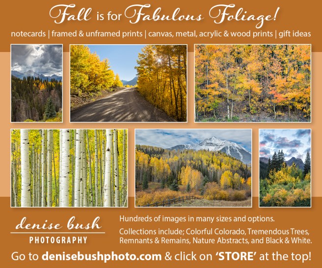 Hundreds of images to choose from. Use discount code XUZGSH at checkout. Expires 10/31/21.