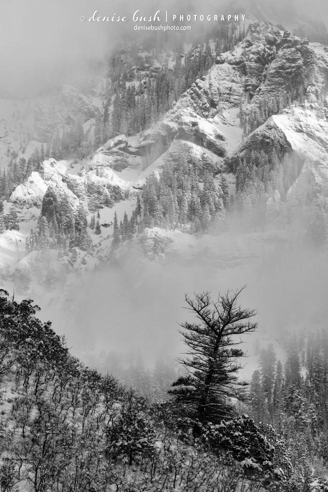 Clouds from a recent snowfall lift, giving way to a rugged mountain view.