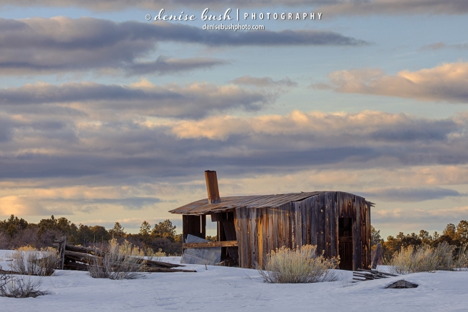 An old shepherd's shack barely holds on through the years and snowy winters.