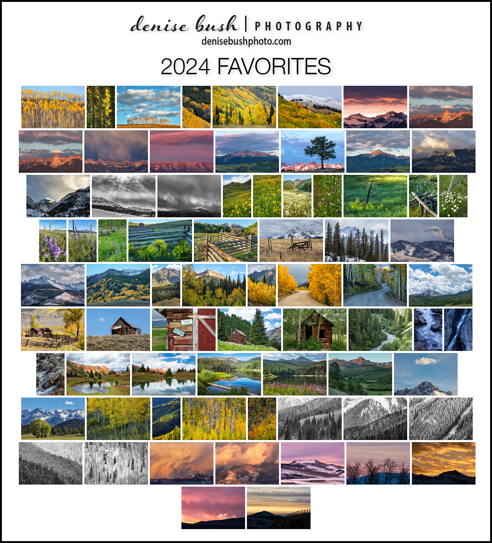 Denise Bush Photography | 2024 Favorites