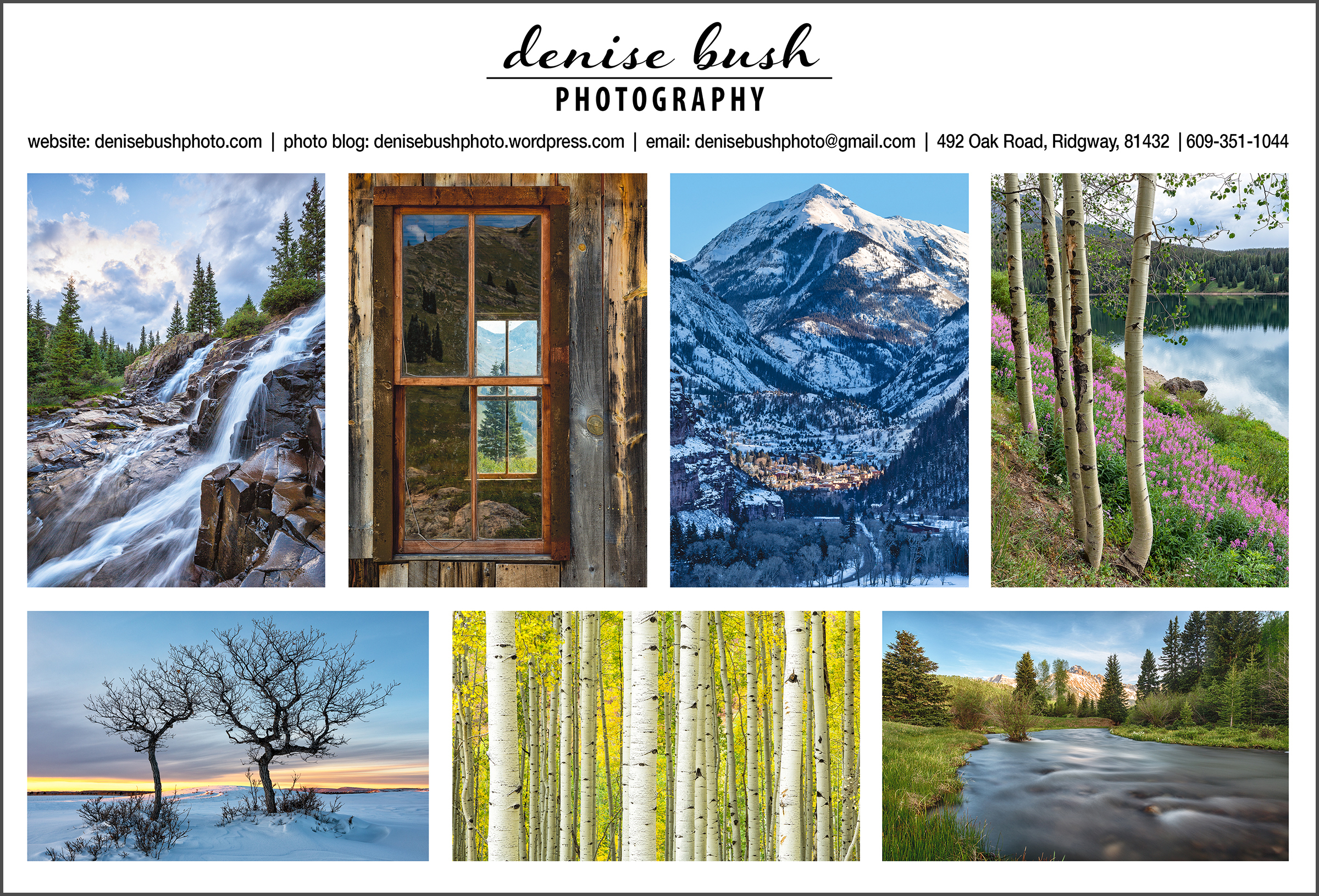 Denise Bush Fine Art Photography for Home, Office & Public Spaces