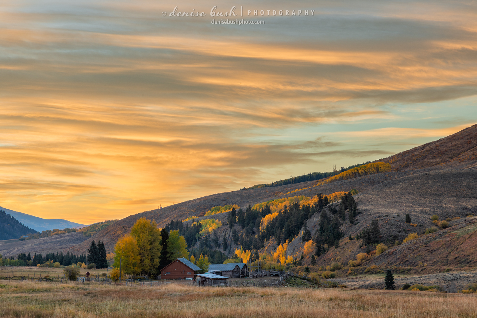 Yellows and oranges light up the sky and the autumn trees below.